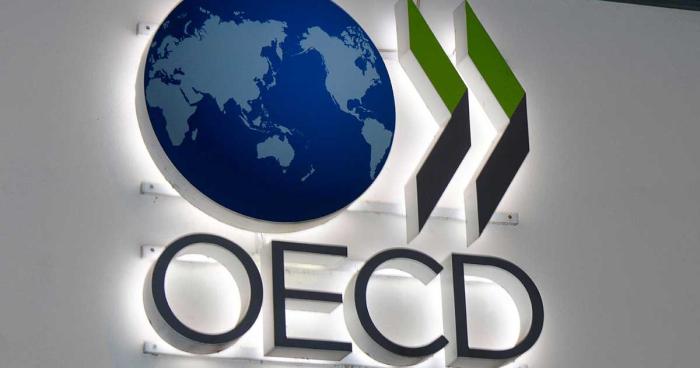 OECD logo