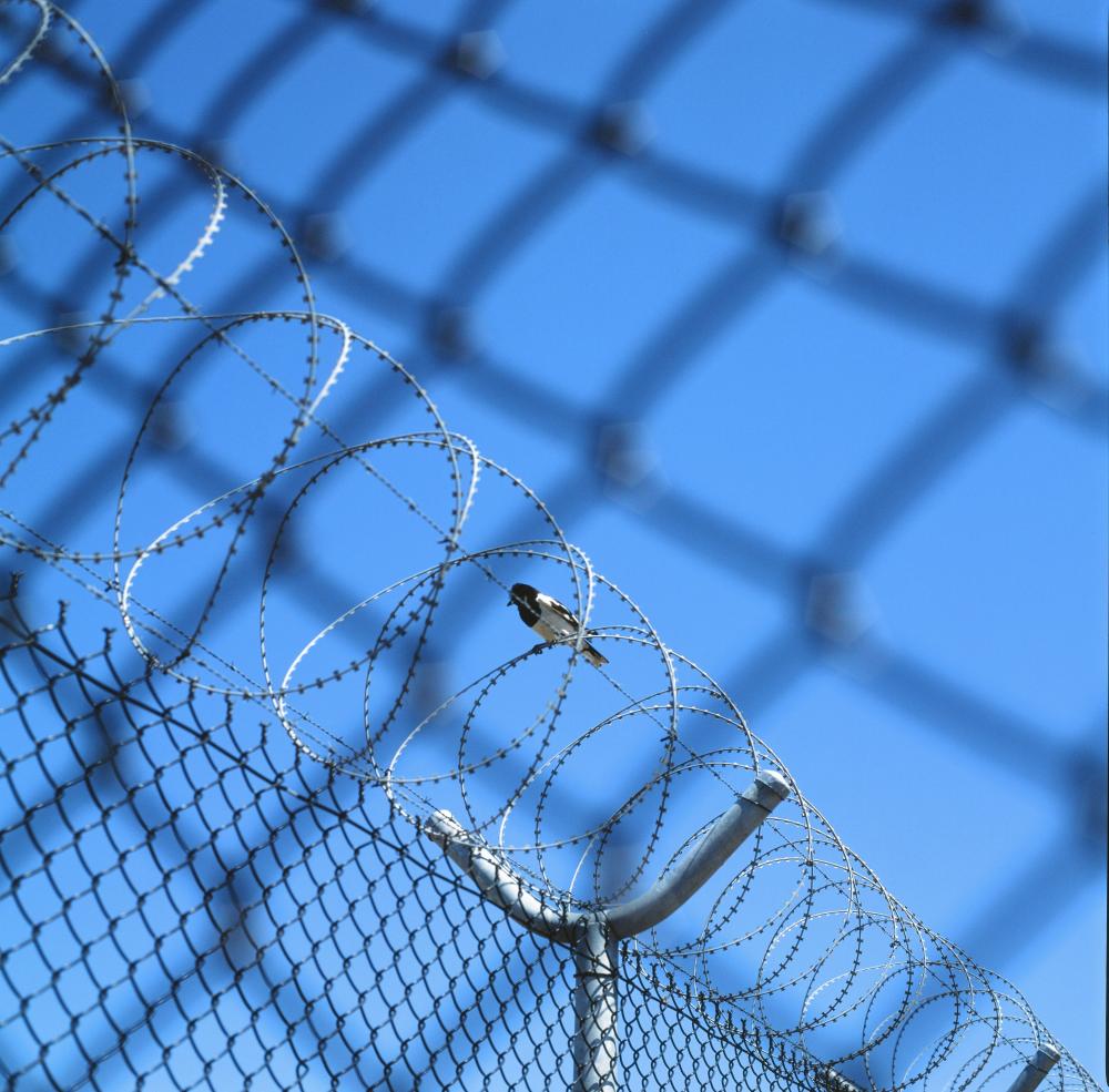 PI rings the alarm bell and alerts ICO about the use of algorithms by the Home Office and their impact on migrants