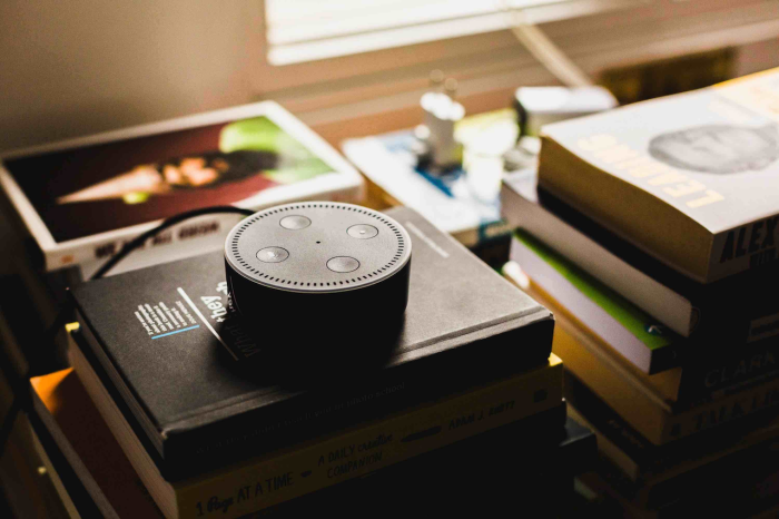 amazon echo on books