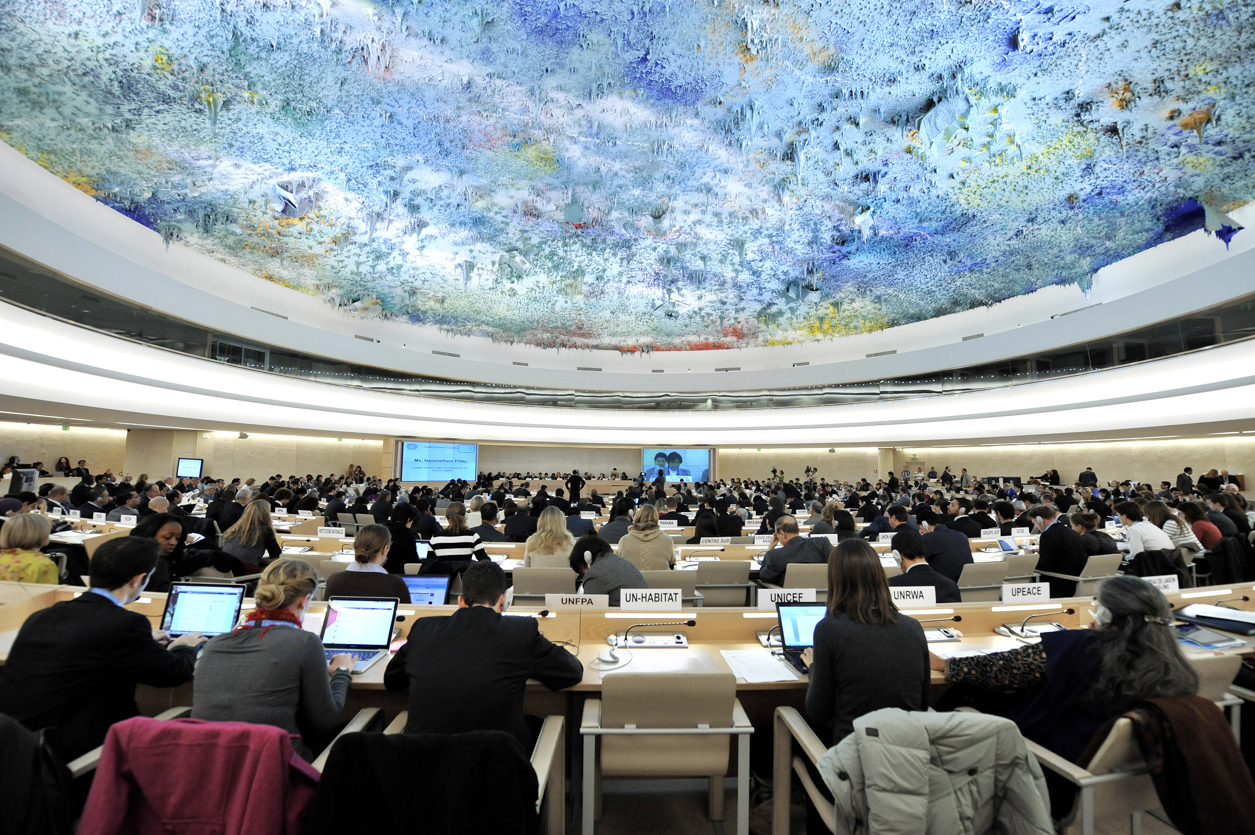 human rights council