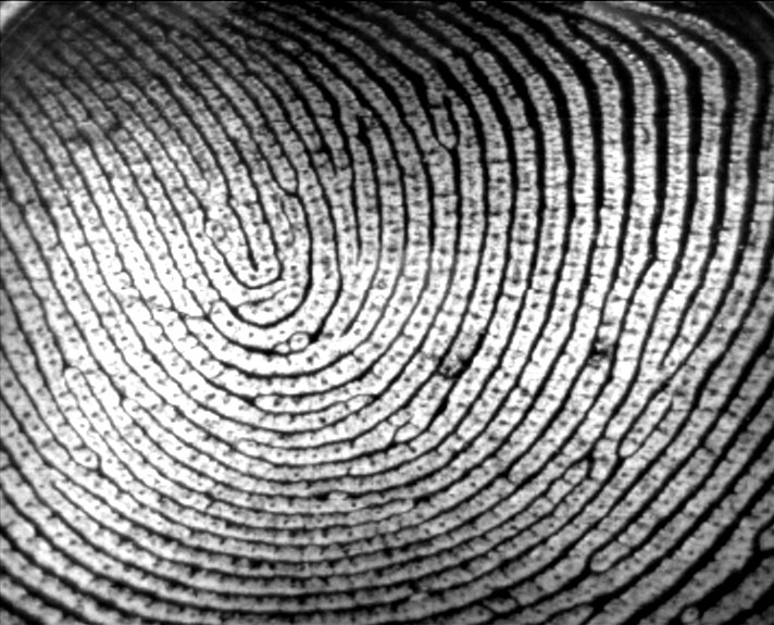 Open letter to UN Agency on dangers of biometric passport standard