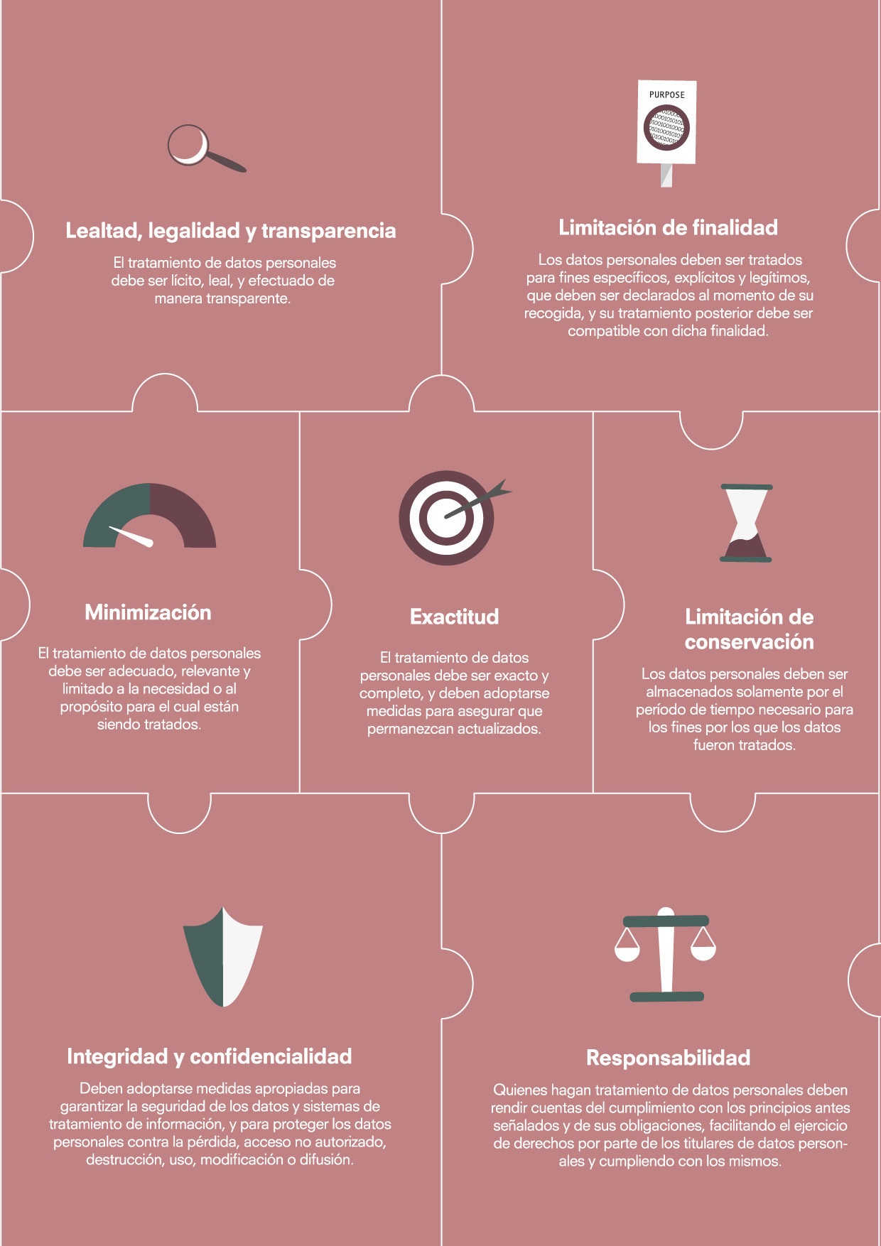 Principios de Protección de Datos Infographic