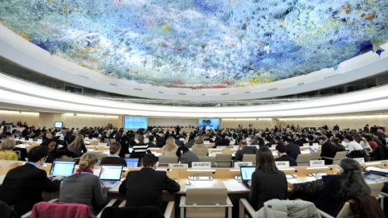 human rights council