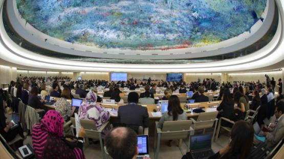 Human Rights Council