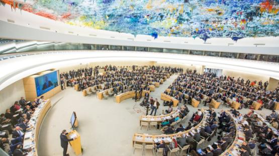 Human Rights Council