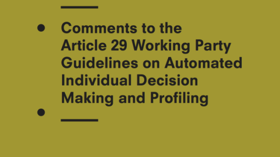 Privacy International's Comments To The Article 29 Working Party Guidelines On Automated Individual Decision-Making And Profiling