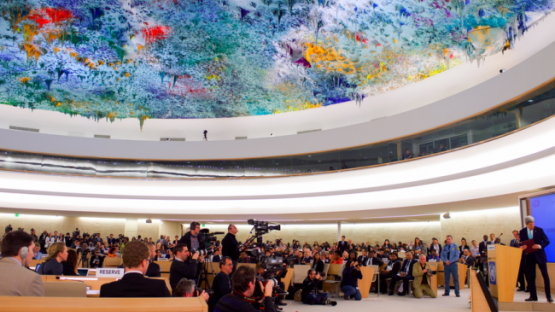 Privacy International submits stakeholder reports to Human Rights Council on the right to privacy in China, Senegal and Mexico