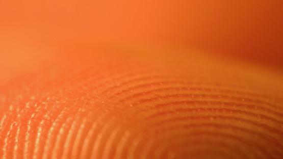 Council of Europe refuses to investigate biometrics privacy