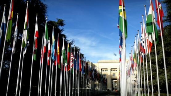Mind the gap: A review of the right to privacy at the UN in 2015