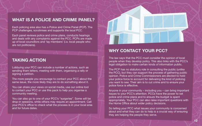 police and crime panels
