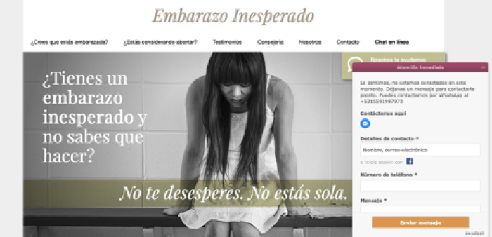 Example 1: Screenshot from Embarazo Inesperado [dot] com using Zen Desk.