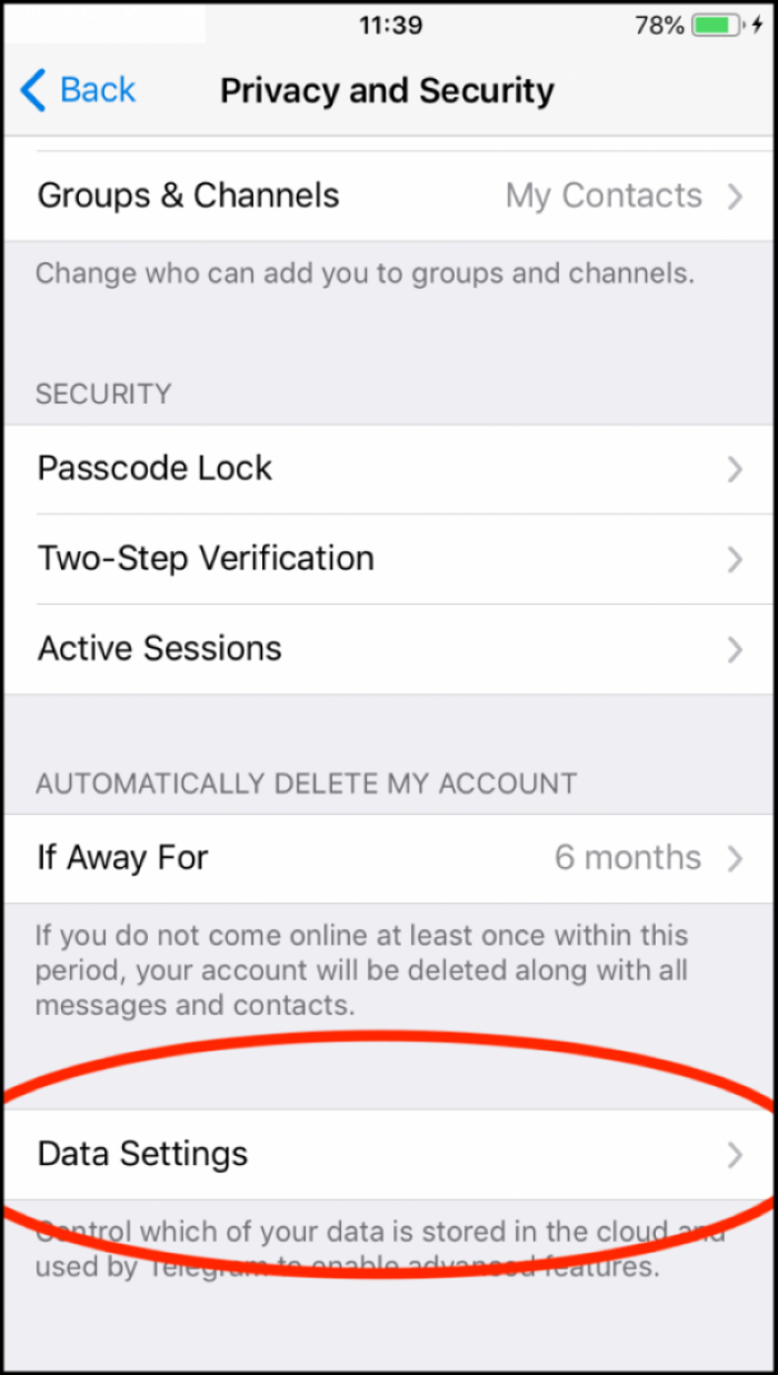 3. Within Privacy and Security, scroll to the bottom and tap Data Settings to see further options.
