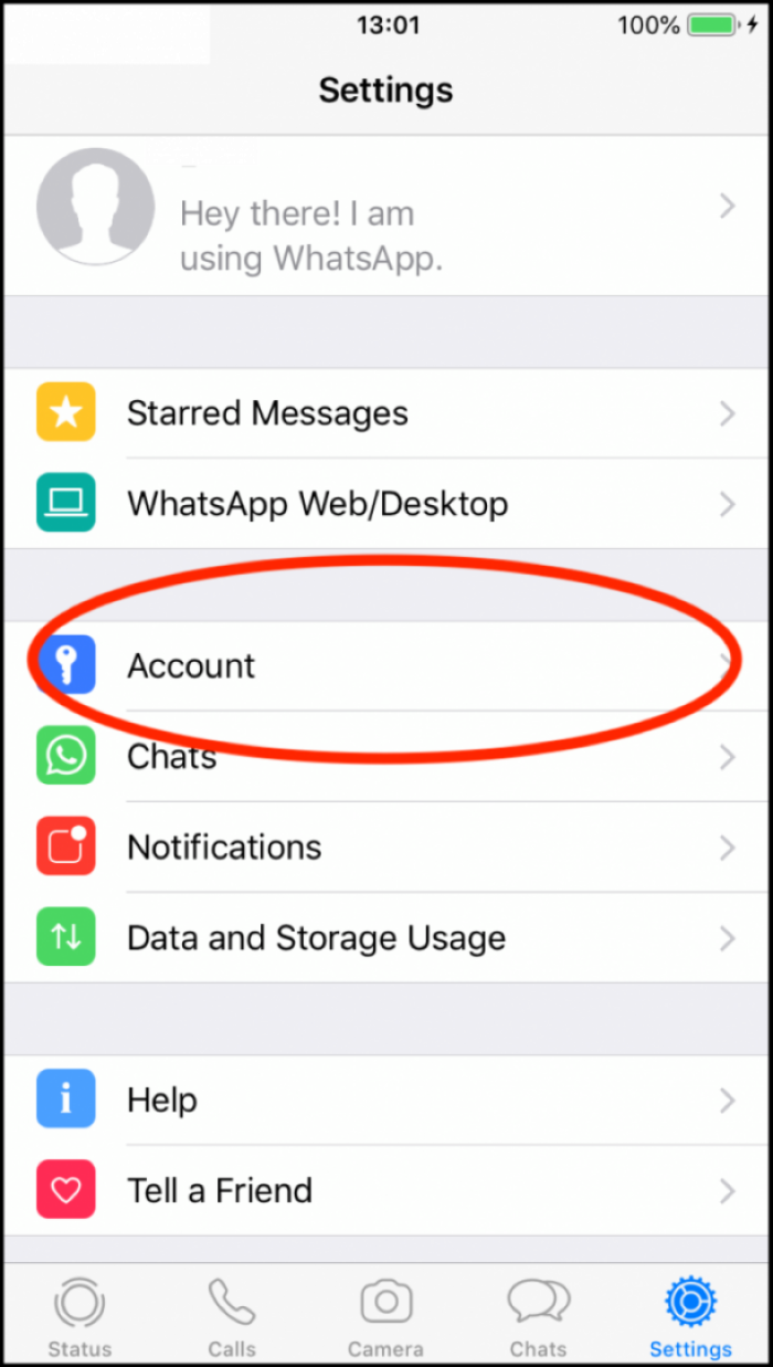 3. Tap Privacy