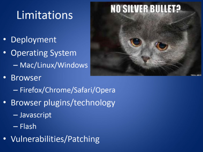 Slide from a Powerpoint presentation obtained from the US DoJ disclosures (sad cat meme included).