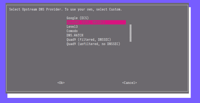 Fig. 2: Select upstream DNS