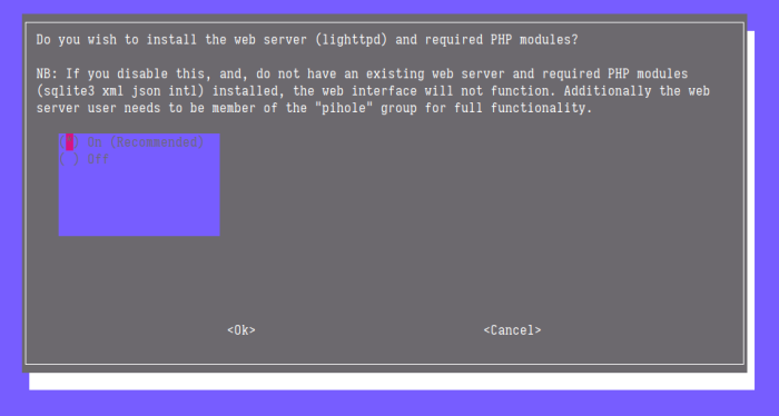 Fig. 6: Install web server