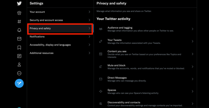 3. Click on Privacy and Safety