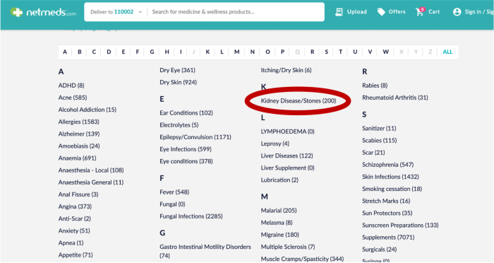 A screenshot of Netmeds' website showing a list of medical terms, including 'Kidney Disease/Stones', which is circled in red