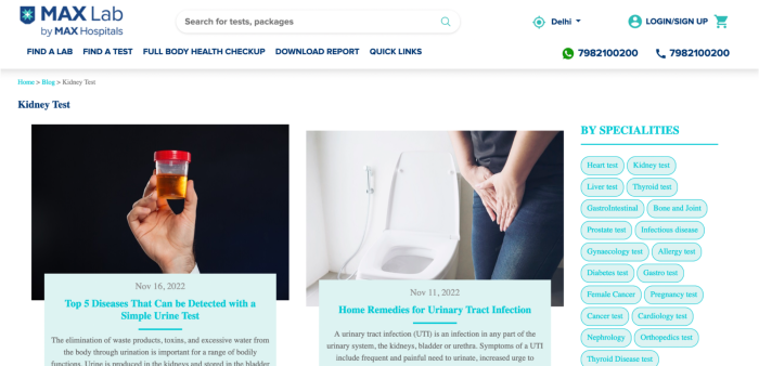 A screenshot of MaxLab's website showing information about kidney tests