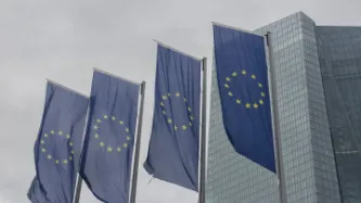 EU Flags