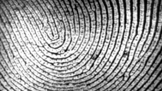 Europe proposes central fingerprint database of immigrants