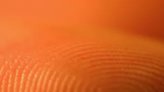 Council of Europe refuses to investigate biometrics privacy