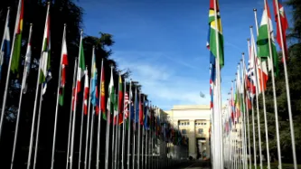 Mind the gap: A review of the right to privacy at the UN in 2015