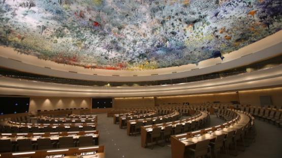 UN Human Rights Council