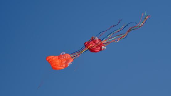 Two kites with eyeballs flying in blue sky