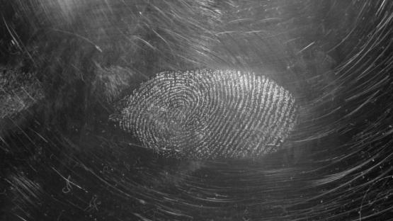 A fingerprint