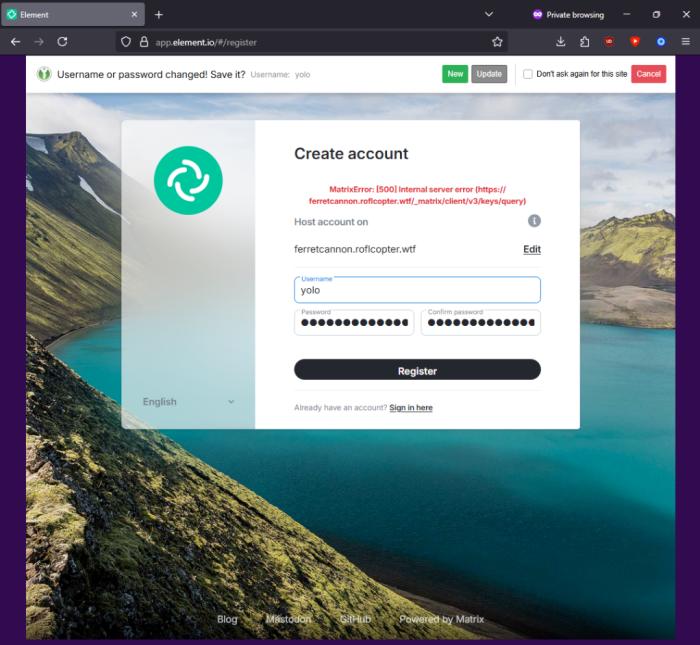 The front-end of an Element log-in