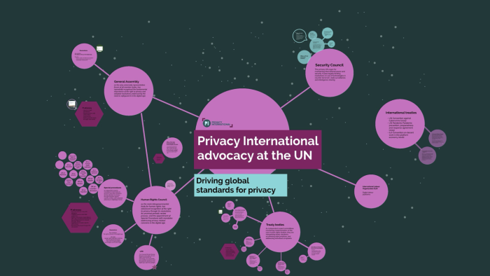 Prezi cover presentation of PI's involvement at the UN