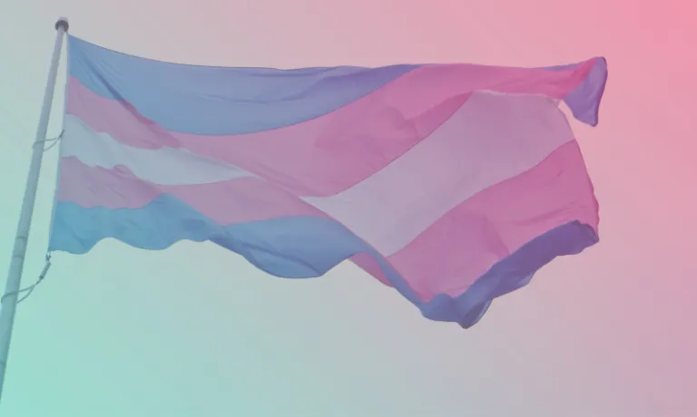 Trans flag
