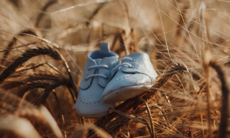 A pair of blue baby shoes in a wheat field.