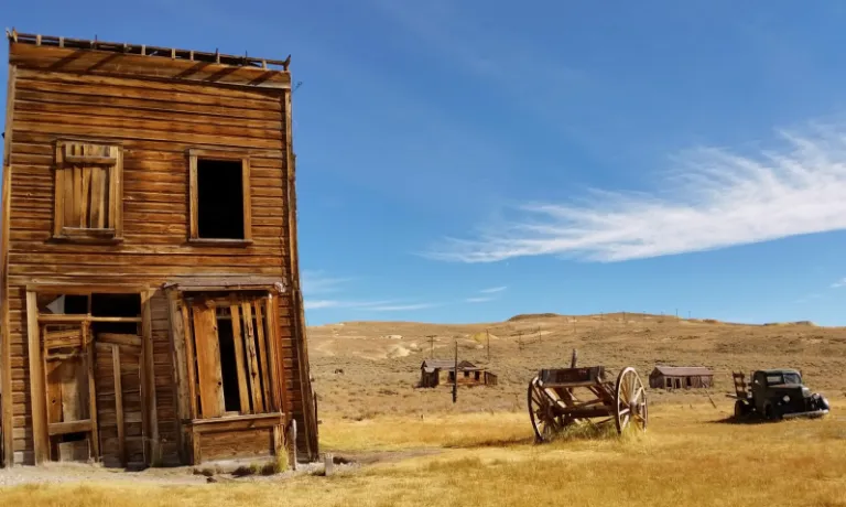 WIld west image