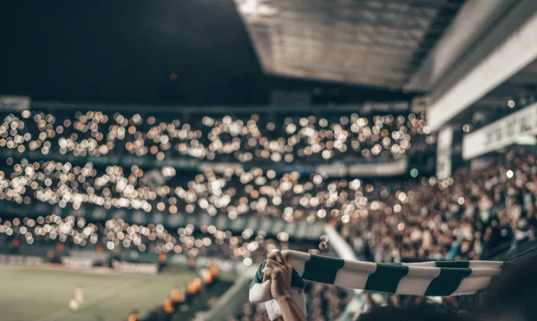 Image of fan holding scarf in a busy sports arena at night