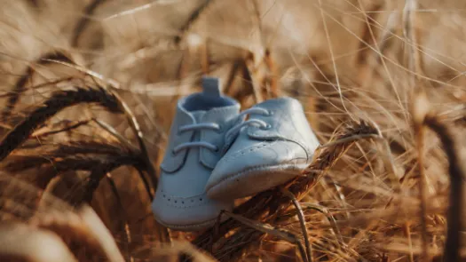 A pair of blue baby shoes in a wheat field.