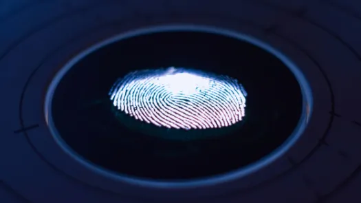 fingerprint graphic