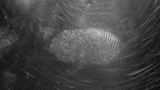 A fingerprint
